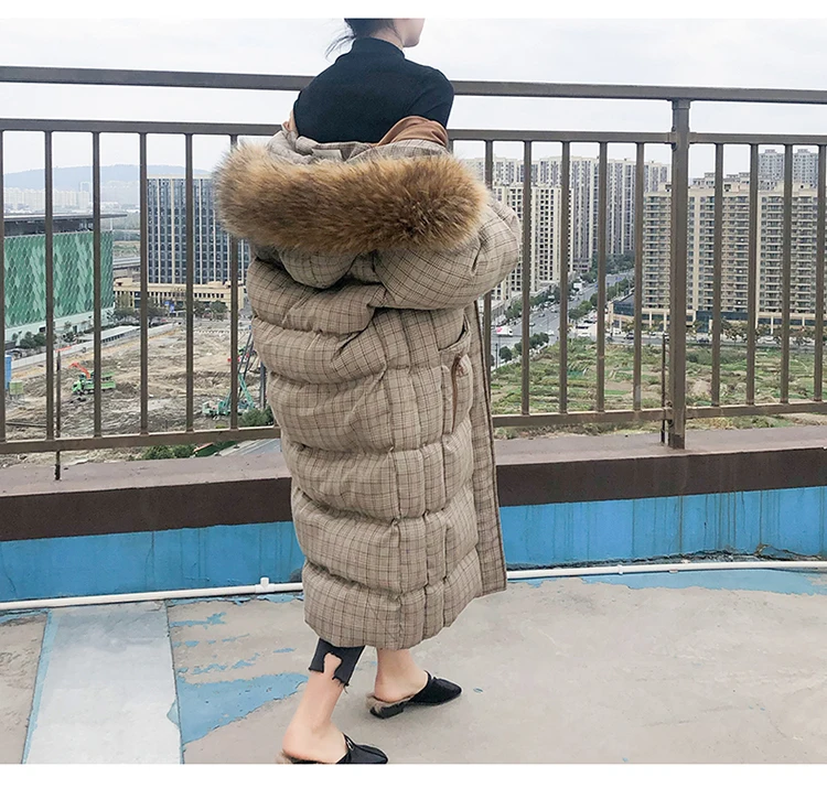 Клетчатый рукав реглан, карман, прямой крой, длинный рукав, зима, на молнии, с капюшоном, nv zhuang dai, меховой воротник, длинный