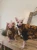 Cat Clothes MPK Store Искусственная меховая ткань Cat Wear Cat Clothes Cat Winter Wear, Основанная Футболка Доступна для спаривания
