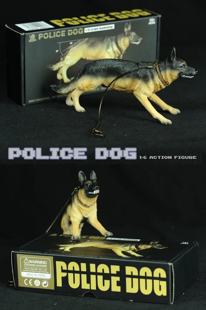 11352412999_1571570621