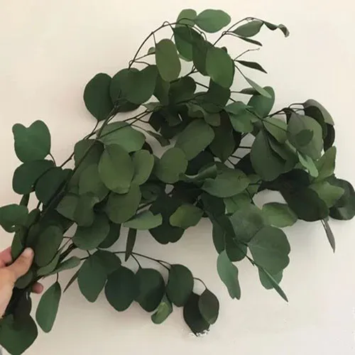 green 80 г/30-45 см Природный свежий консервированный лист эвкалипта, цветок этернелл, украшение подарочной коробки для дома на Рождество, свадьбу, Роза этернелла - Цвет: green