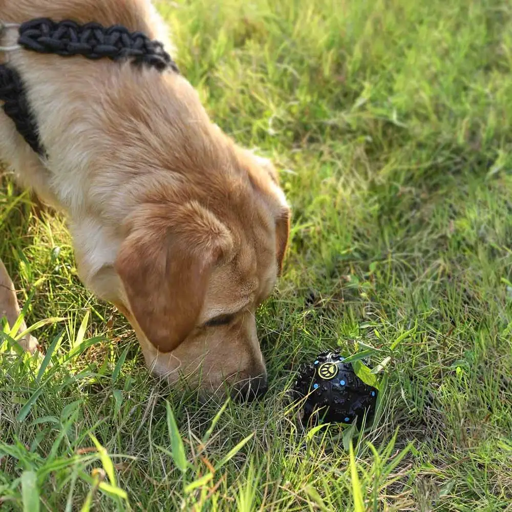 Xiaomi Pet игрушки для собак игрушка забавный интерактивный эластичный шарик жевательная игрушка собака зуб чистый шар дозатор еды экстра-жесткие резиновые шарики