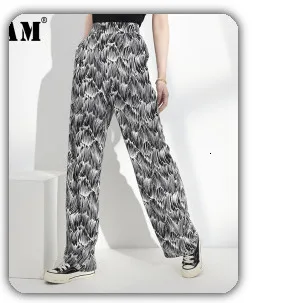 [EAM] High Elastic Waist Black Mesh Split Joint Temperament Half-body Skirt Women Fashion Tide New Spring Autumn 2020 1X715