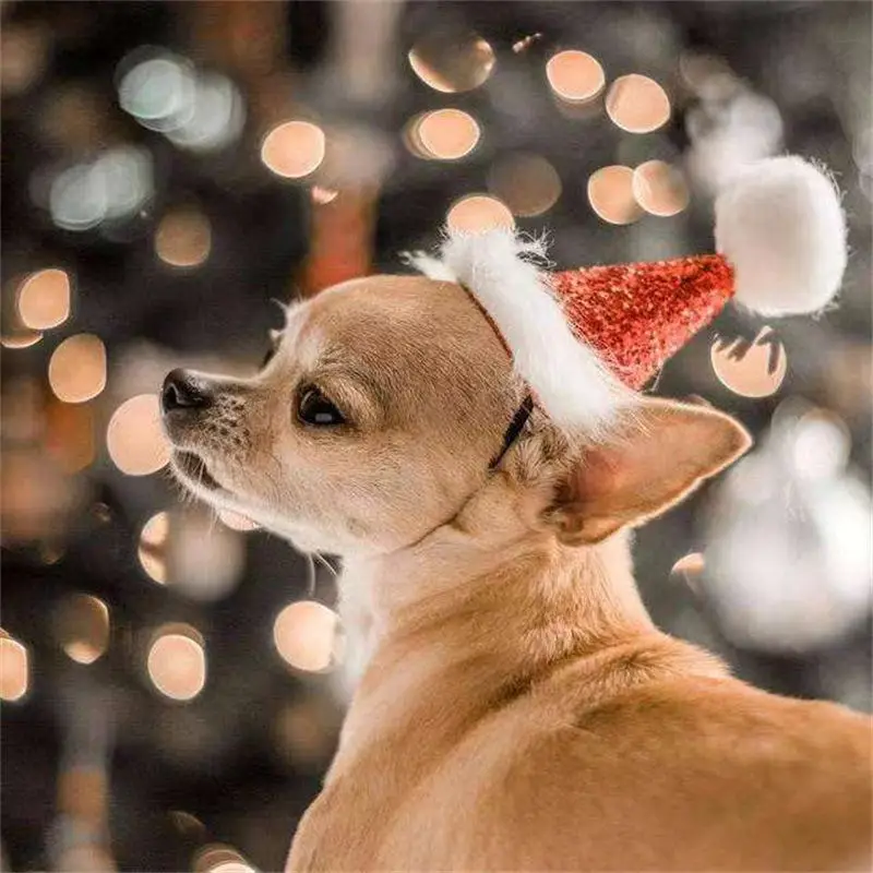 Рождественский галстук-бабочка для кота и кепки для питомца, милый красный галстук-бабочка, регулируемый помпон для собаки, вечерние кепки для собаки, аксессуары для домашних животных