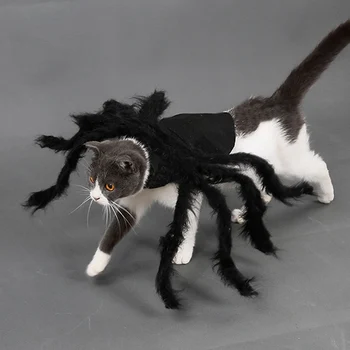 

Halloween Cats Cosplay Costumes Small Dogs Spider Dressing Up Clothes Charming And Generous Affordable Personality Fashion