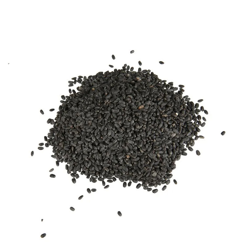 10 г Catnip Seed Catnip игрушка для выживания семена растений кошка товары для кошек 3000 зерна для домашних кошек
