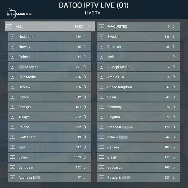 4k IPTV Swedish Full HD 1 Year IPTV Subscription IPTV Arabic Belgium Dutch Portugal Spain Germany Sweden Italy For Android M3u