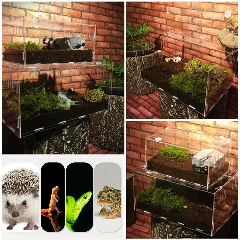 Reptile Tank Insect Spider Tortoise Lizard Small Pet Breeding Box Transparent Acrylic Vivarium Lid Reptile Pet Product Terrarium