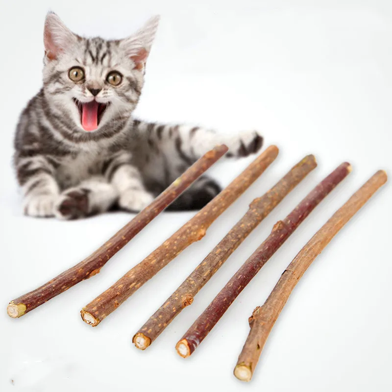 Cat Toy Natural Catnip Pet Cat Molar Toothpaste Stick Matatabi Actinidia Fruit Silvervine Cat Snacks Sticks Pet Cleaning Teeth