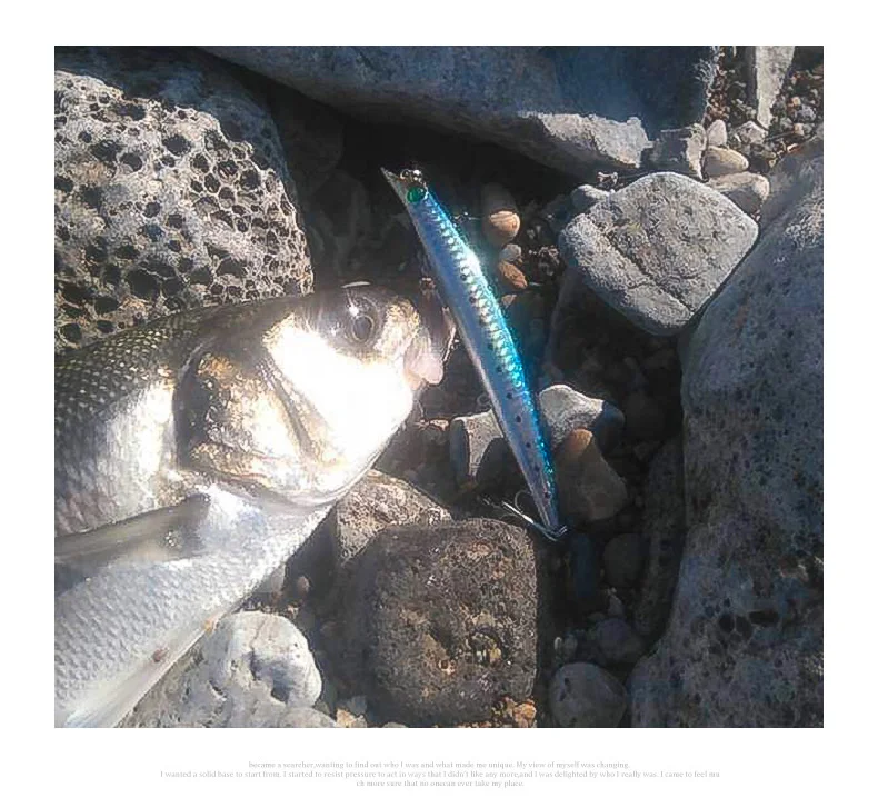 Королевство рыболовные приманки плавающий Поппер LipLess морская рыба Рыбалка 8,1 г/15,3 г/21 г Гольян приманка жесткая приманка крепкий крючок воблеры