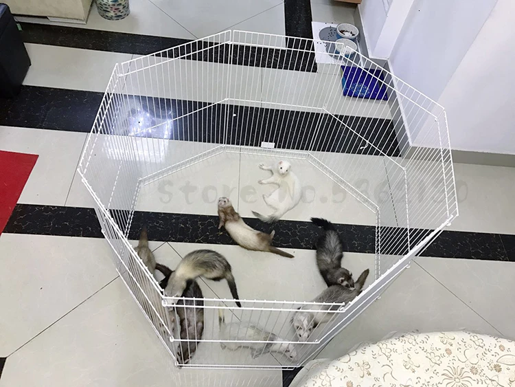 Американский Midwest Дракон кошка Забор Pet Ferret забор ветра для предотвращения пробоя