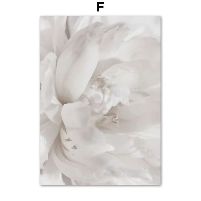 White Dandelion Peony Rose Flowers Canvas Painting Nordic Posters And Prints Wall Art Pictures For Living Room Home Decor F