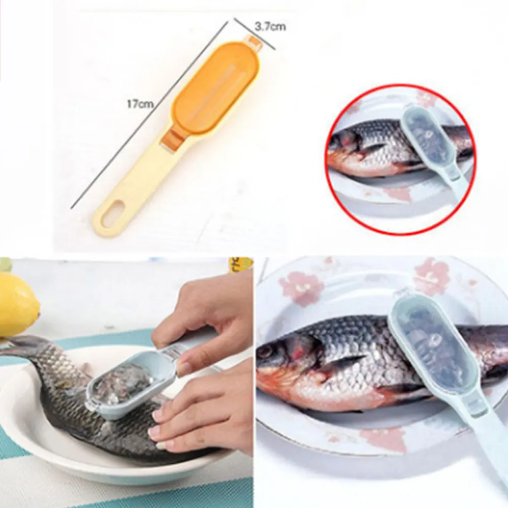 

Fish-scale slicer is time-saving and durable with cover scaler. Hand-operated fish-scale slicer is a fish-scale slicer
