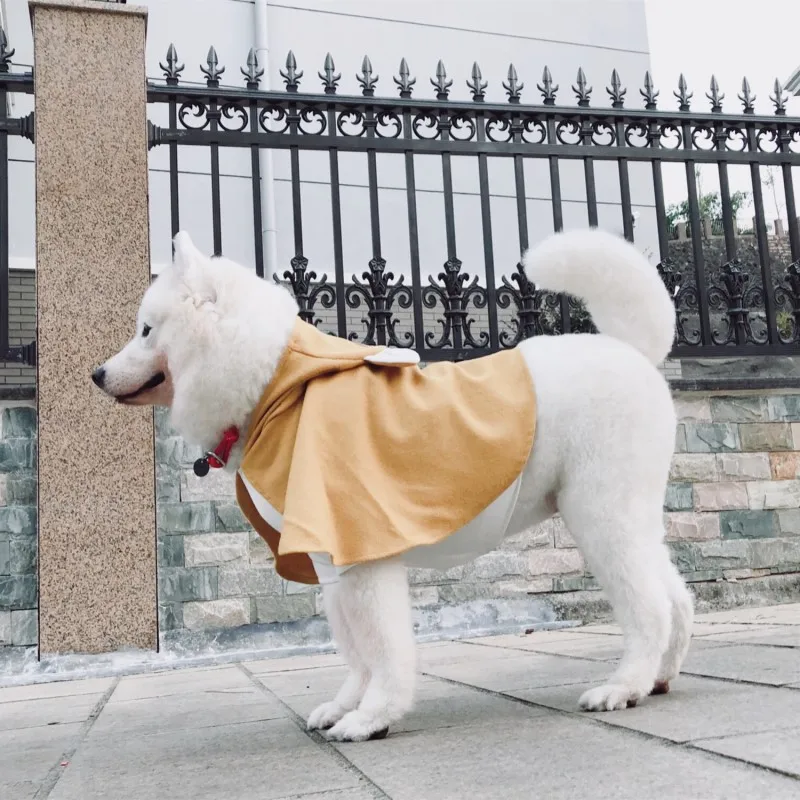 big dog cloak (14)