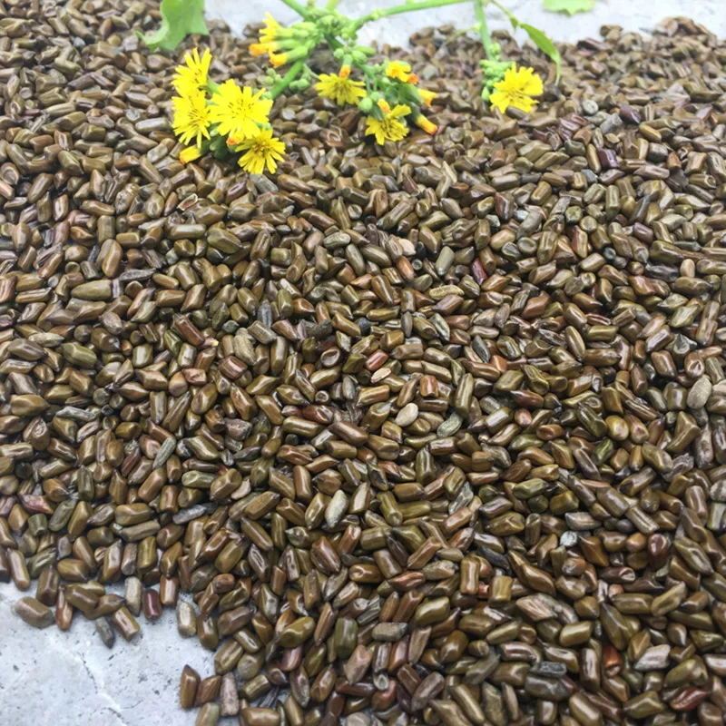 [Подушка интерьерная Цветочная песенка] 100 Jin casasia Seed Wild Sand поддержка игрушка игра с песком инструмент унисекс песок играть песок 2