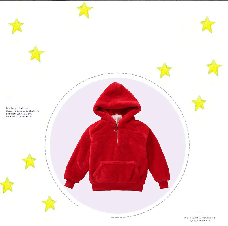 New Winter Fashion Girls Hoodies Cotton Warm Kids Sweatshirts With Zipper Long Sleeve Children Hooded Tops Coat For Girl Clothes (2)