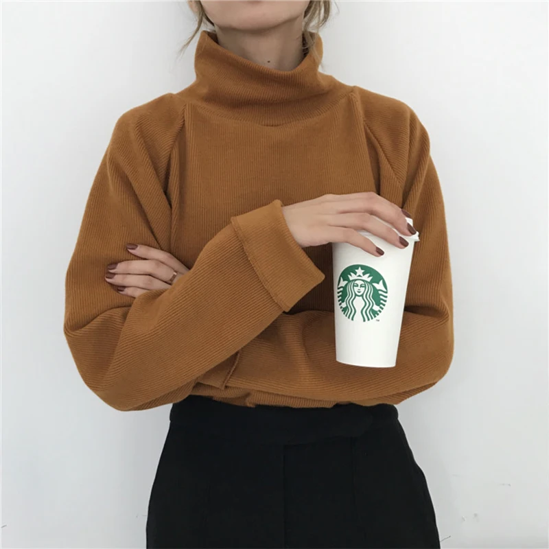 

2019 New Turtleneck Women Sweater Thick Warm Turtlenecks Sweater Loose Casual Solid Color Pullover Long Sleeve Womens Sweaters