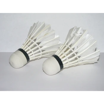

LED Light-Up Badminton Birdies (Set of 2) Shuttlecocks Shuttlecock Feather