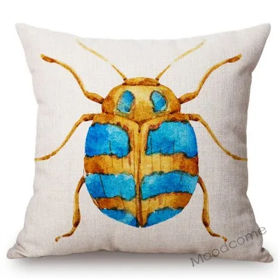 conew_n311 (6) 副本