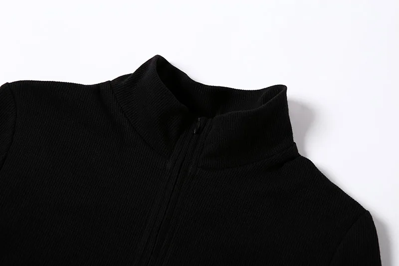 12592643882_1973477789