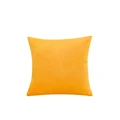 Mustard Yellow