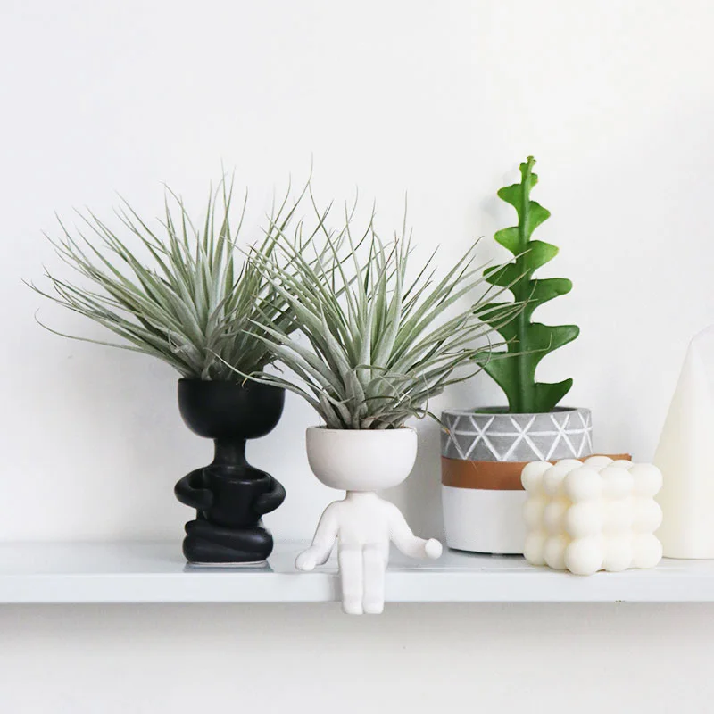 O1CN01ZDOlUy1kralI9vypg_!!411044737