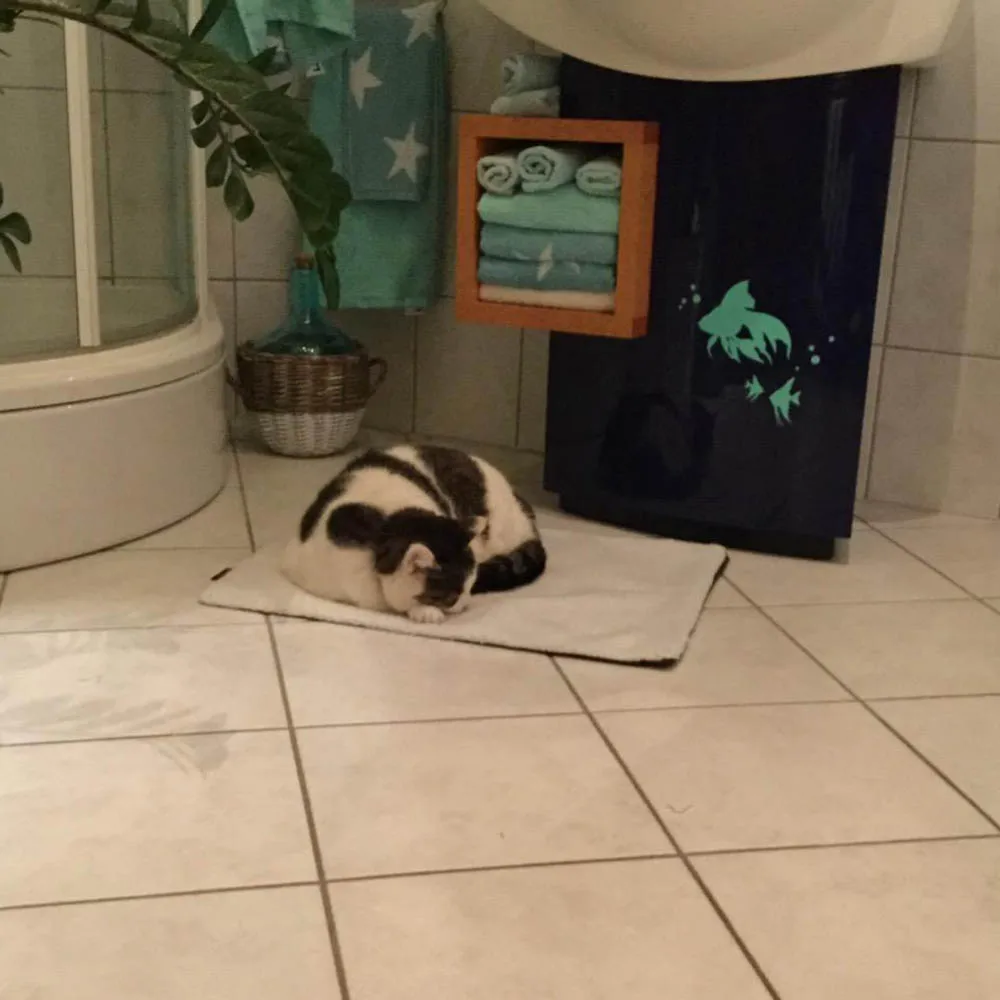 Super Soft Washable Self-Heating Mat for Dog