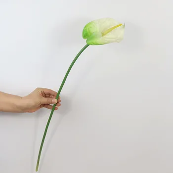 

Anthurium Andraeanum Lind Model Artificial Flower g