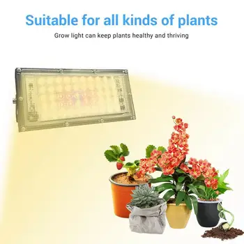 

30W Full Spectrum LED Plant Grow Light Lamp 220V For Plant Fruit Nursery Hydroponics System Grow Veg Tent Indoor Flower Fit G0M5