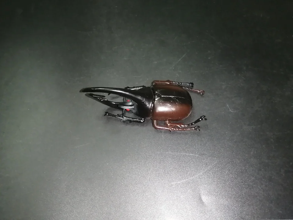 Insect Simulation Animal Toy Kid Gift Tricky Halloween Prop Model