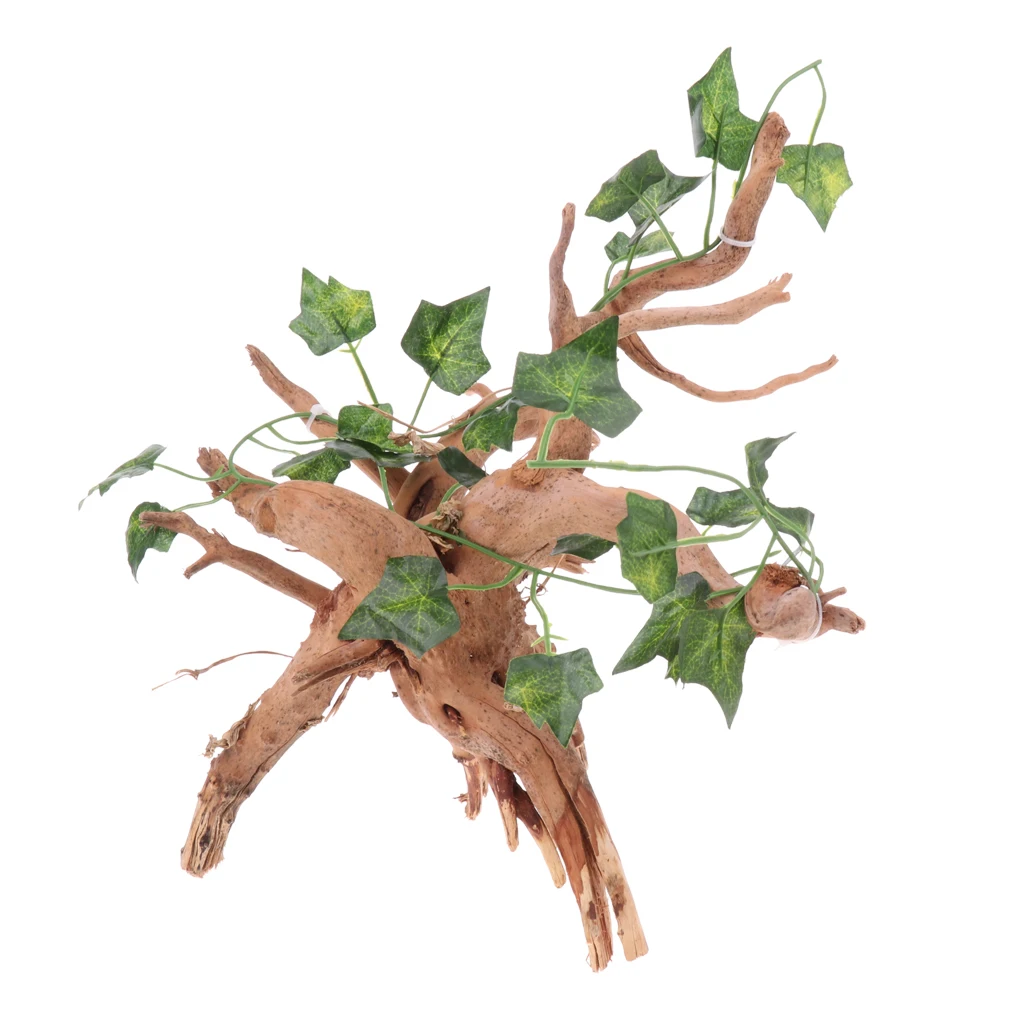 Rhododendron Wood Root with Small Jungle Vines DIY Decor for Reptiles and Amphibians Habitat Décor