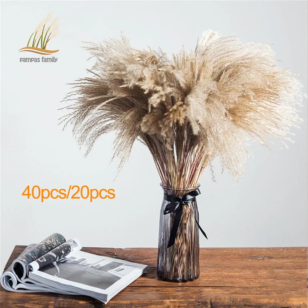 dried pampas grass plants Home decor feather flower natural phragmites