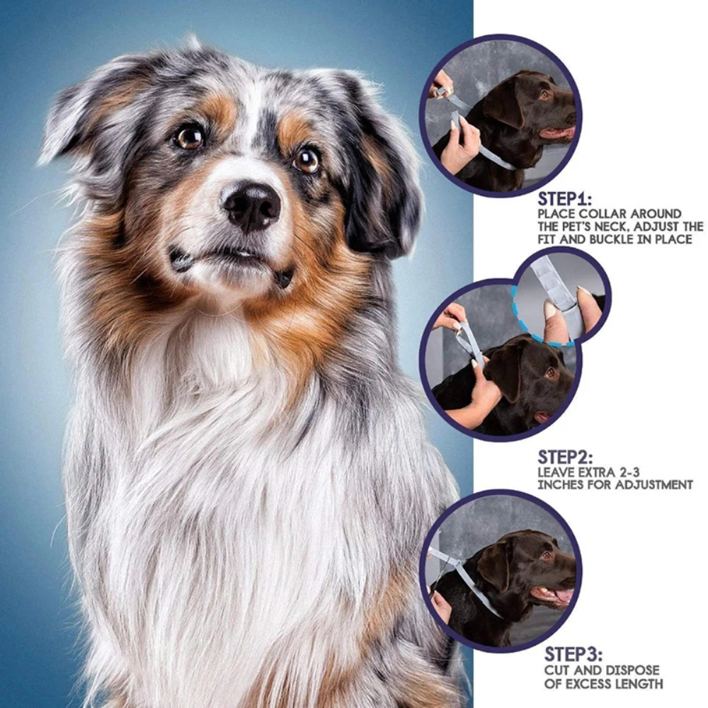 Waterproof Pets Collar Anti Flea Ticks Mosquitoes Adjustable Dog Cat Collar Accessories 8 Months Long-term Protection CXQA01 Waterproof Pets Collar Anti Flea Ticks Mosquitoes Adjustable Dog Cat Collar Accessories 8 Months Long-term Protection CXQA01
