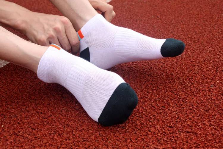 2935134335_934137848