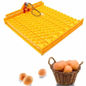 

Incubator Motor OR Egg Tray 154 Eggs Positions Motor Size 220V Optional Farm Poultry Hatching Device