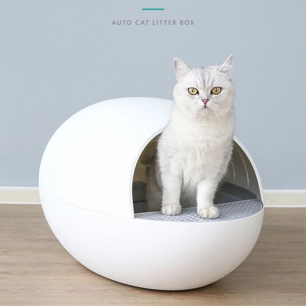 automatic cat box