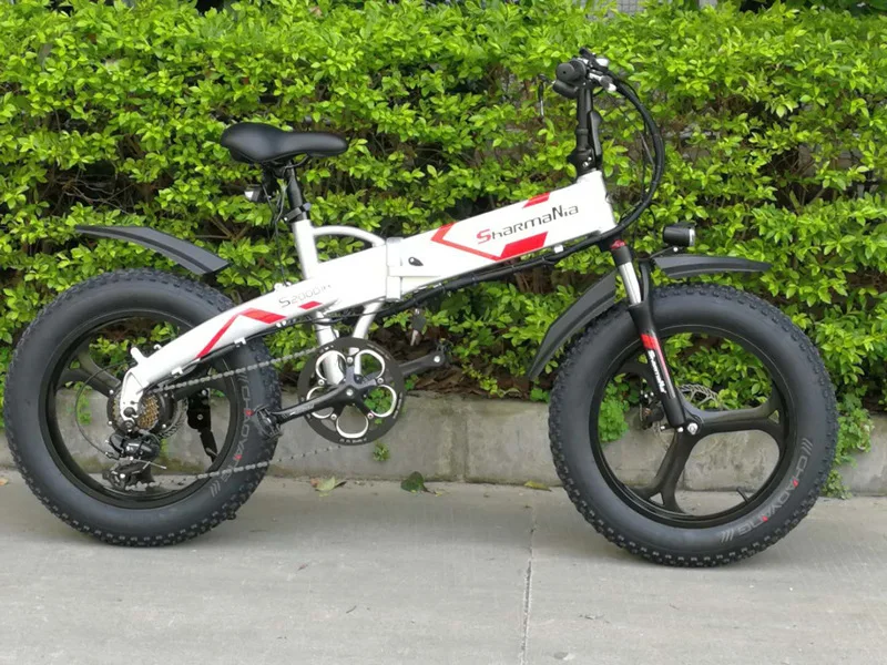 Electric Electrica Bicicleta Bike Ebike 20 Inches Folding Folding Electric Bike Bicicleta Electrica Adult Electric Car Bicicleta