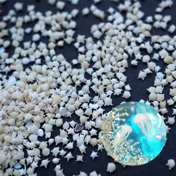 

1Box With Different Weight Beach Natural Seashell Starfish Sand Jewelry Filling For Making UV Resin Jewelry Pendant Accessories