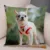 Lovely Pet Animal Pillow Case Decor Cute Little Dog Chihuahua Pillowcase Soft Plush Cushion Cover for Car Sofa Home 45x45cm 33