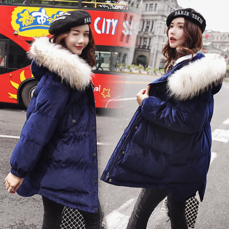 

Winter Cotton-padded Jacket Women's 2018 New Style Korean-style Mid-length Thick of CHIC Slimming Gold Velvet down Feather Cotto