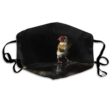 

Goldfinch Perched on a Bird Bath Dustproof Mask Anti-Dust Mask Earloop Anti Pollution Mask for Cycling Running House Cleaning