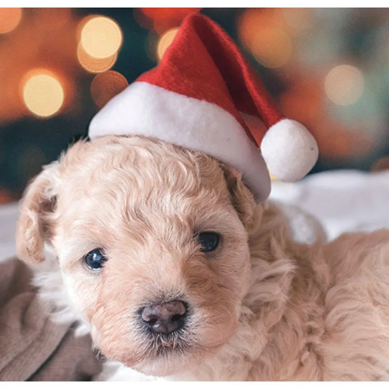 Mini Hats Pets Party Hat Plush Christmas Xmas Tree Caps with Ball New Year Decoration Puppy Santa Navidad Soft Dog Decor | Дом и сад