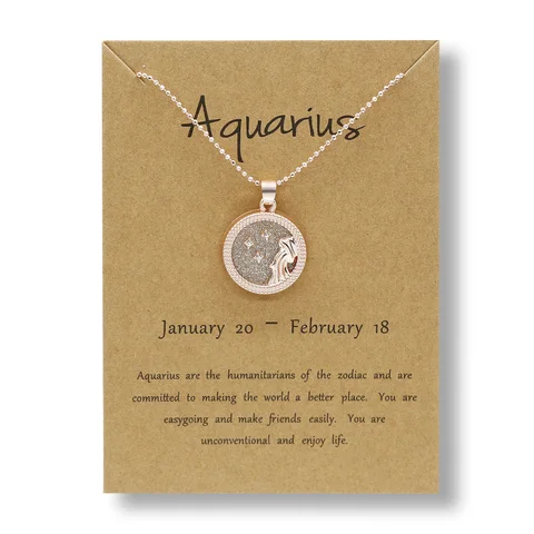 Zodiac Constellations Necklace Geometric Round Pendant Rose Gold Chain Necklace Unisex Friendship Jewelry