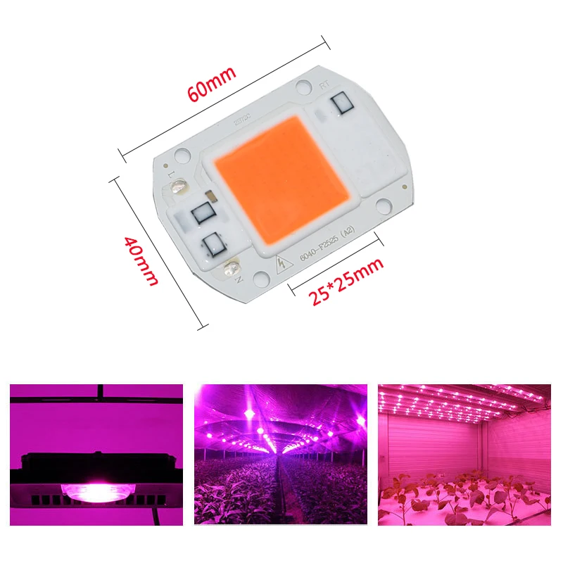 Best Offers 100pcs LED Grow light Full Spectrum COB Chip 20W 30W 50W DIY Growing Plants lamp For Indoor Plant Hydroponic Greenhouse System