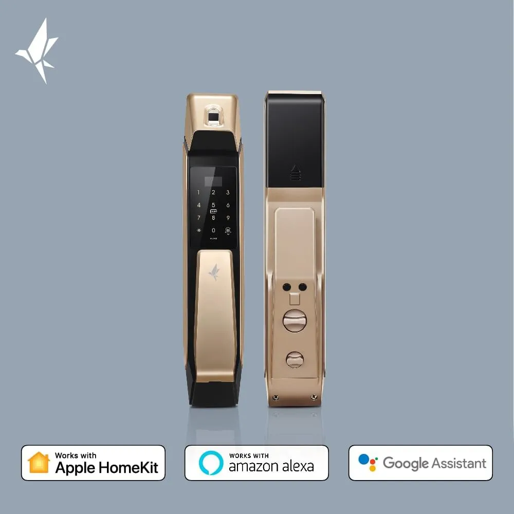Terncy Smart Lock（Gold） Works with Apple Homekit|Anti-theft Lock| -  AliExpress