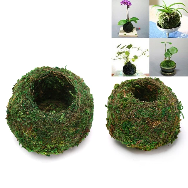 6/9 Cm Zöld Mos Bal Virág Bonsai Pot Houder Kerti Ház Dekorációkhoz Mohás Golyó Növényi Edény - Image 5