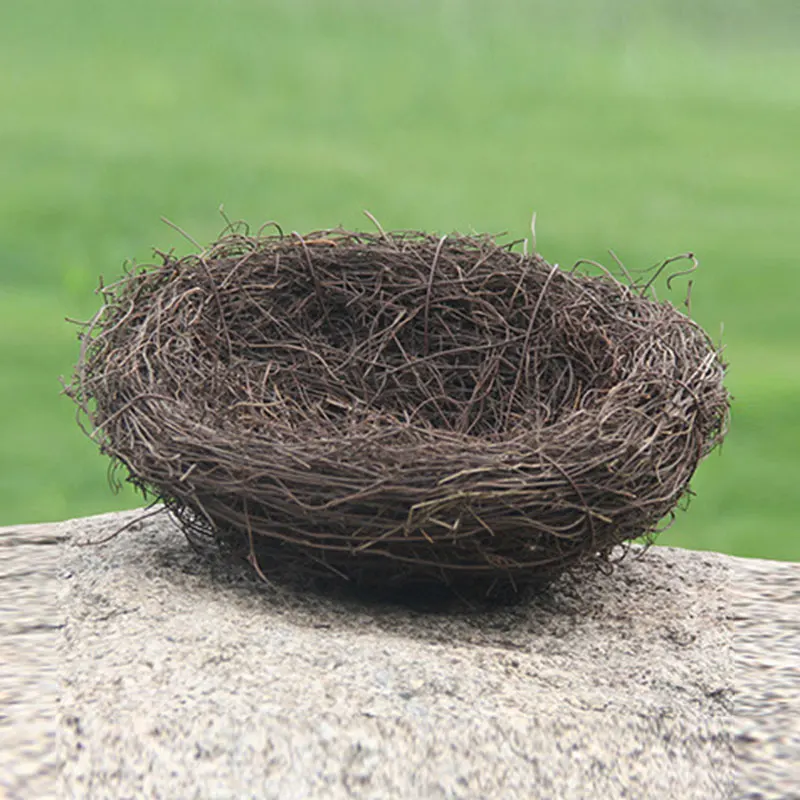Nest create