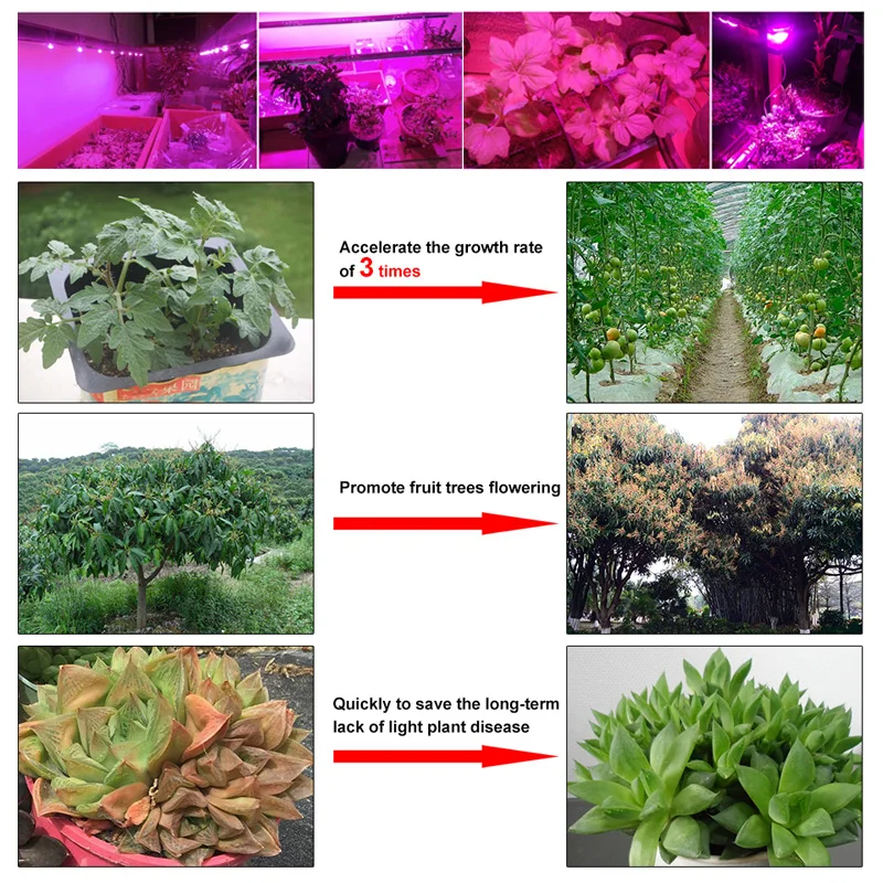 10 pieces COB LED chip grow light Phyto lamp 110V 220V 50W 30W 20W full spectrum no driver need for growth flower seedling plant