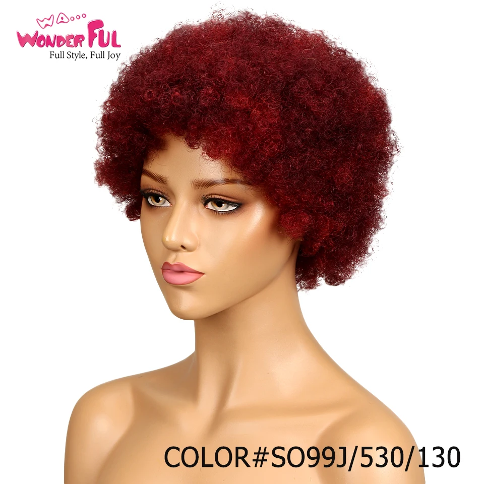 Wa...Wonderful Short Afro Kinky Curly Wig 100% Human Hair Kinky Curly Wigs For Black Women Dark Brown Red Wholesale Cheap