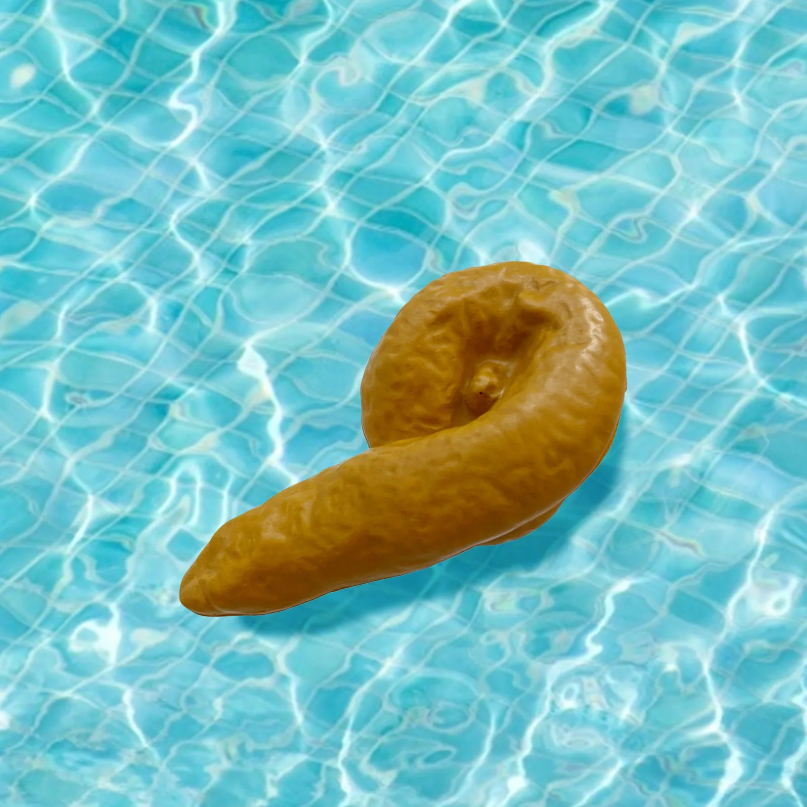 Giardino e giardinaggio Cura delle vasche e trattamento delle acque