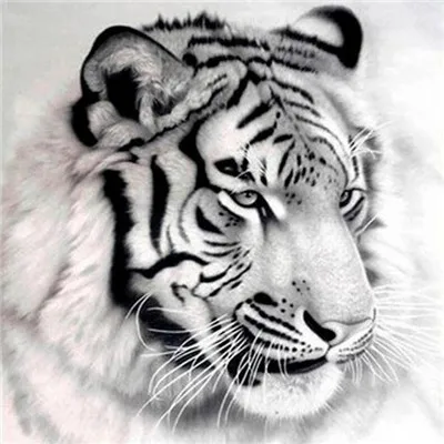 

DIY Diamond Painting Animal Tiger Diamond Embroidery Picture Decoration Home Gift Cross stitch Full drilling birthday presents